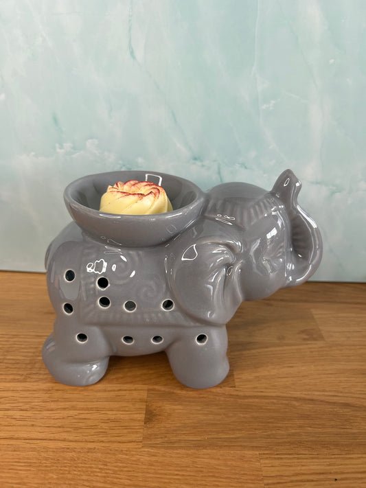 Brûleur Tandor Gris - 45 ml